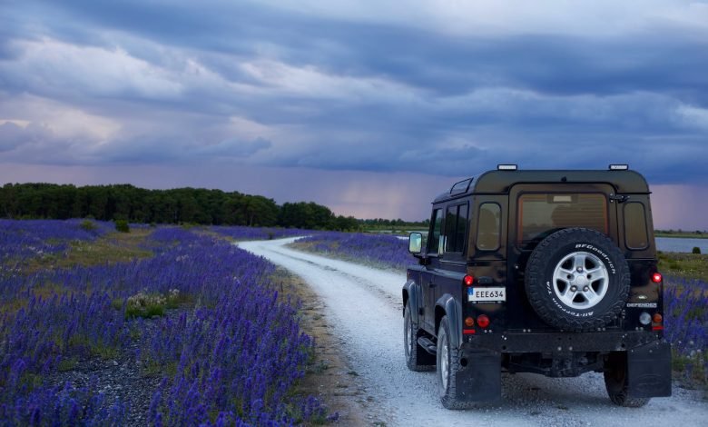 black suv in between purple flower fields